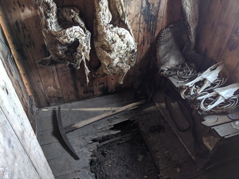 Inside a very small wooden room, about the size of a closet, are the remains of several animals.  On the far wall hang two mutton carcasses, mostly stripped but with some bleached flesh still hanging off them.  In the corner, propped up on a crate pushed sideways against the wall, is an Emperor penguin skin, empty of penguin and half folded on itself.  Next to it, sittng on top of the crate, are two stripped Adelie pengiun ribcages.  On the floor is a pickaxe, and there is a large hole that has been hacked in the wooden floor, exposing the ground beneath.  Some link is implied between the two, though it is unclear what the purpose of the hole is.