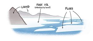 Sea Ice Basics