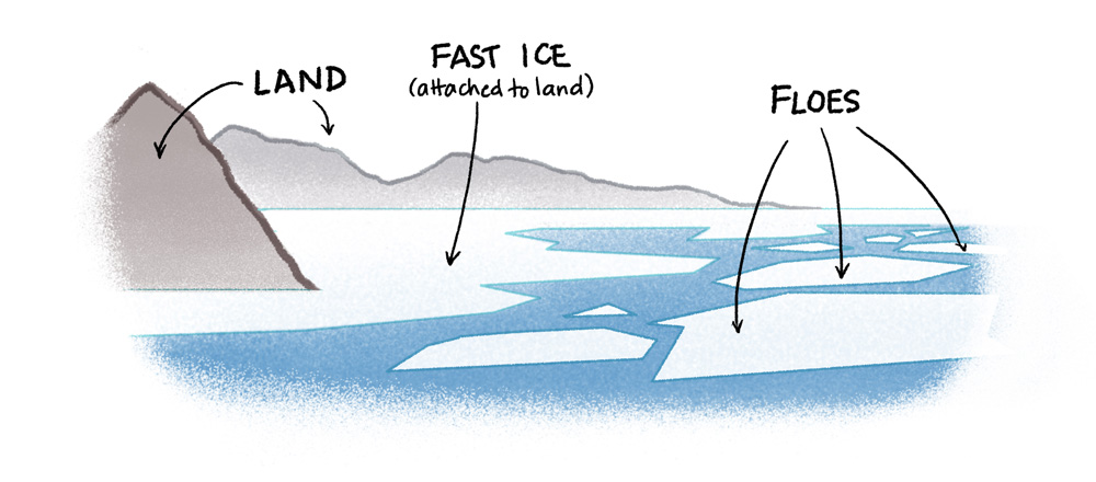 Sea Ice Basics
