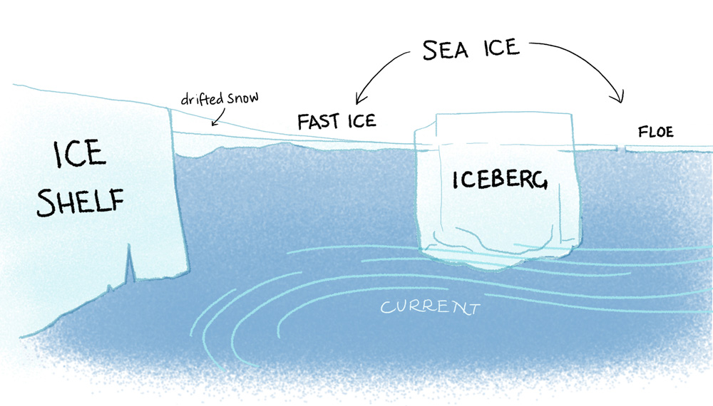 A diagram illustrating different types of ice on the Antarctic coast. On the left is the great thick ice sheet, which has flowed slowly down off the polar ice cap to the sea.  Much thinner, on the surface of the water, is the seasonal sea ice.  Some way away from the ice shelf is an iceberg, which has broken off the ice shelf and been carried away by the current.  Where the sea ice meets the ice shelf, a snow drift has formed, making the surface one gradual incline and masking the boundary between the two ice forms underneath.